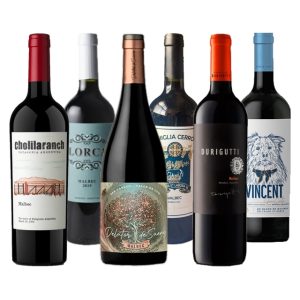 vino malbec mendoza sale