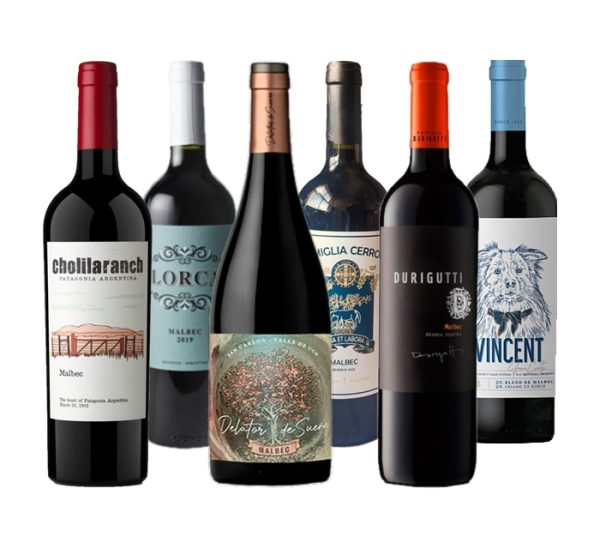 vino malbec mendoza sale